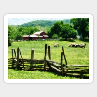 Farms - Sheep Grazing in Pasture Sticker